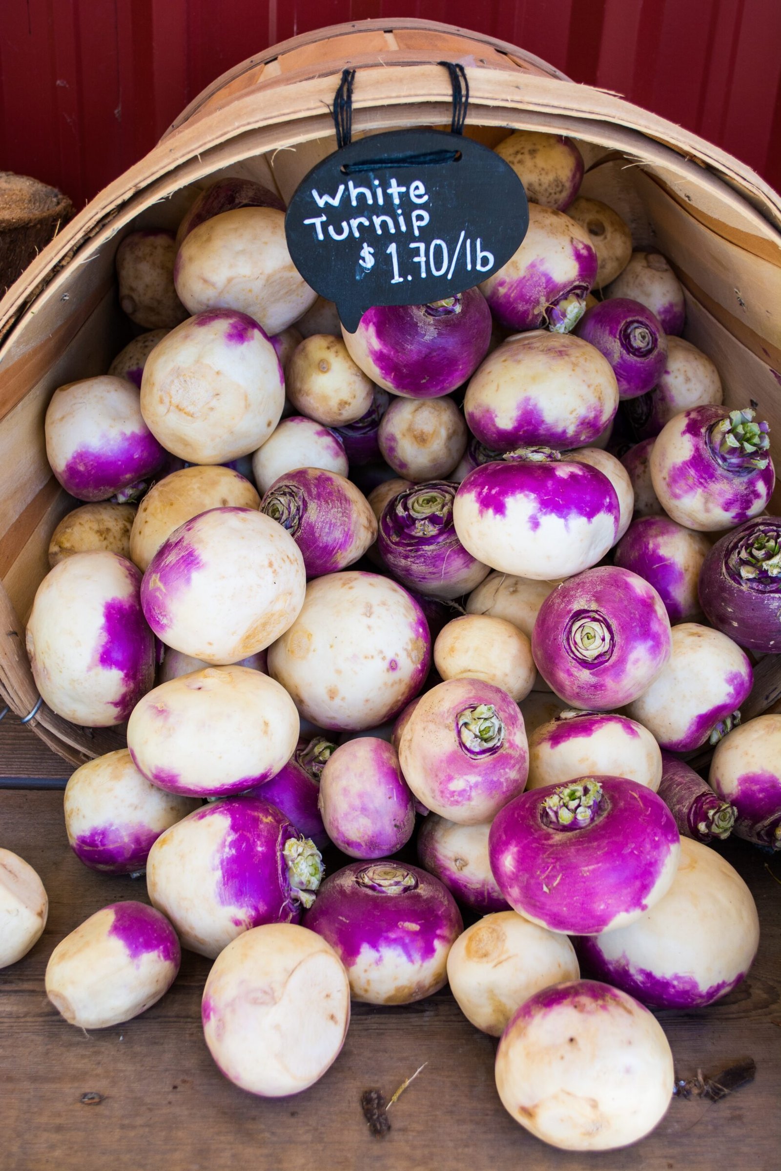 A Comprehensive Guide to Turnip Seeds: Growing Tips and Where to Buy Online