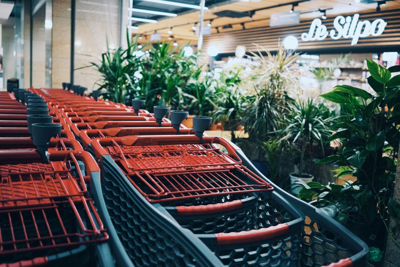 How to Create a Beautiful Winter Balcony Garden