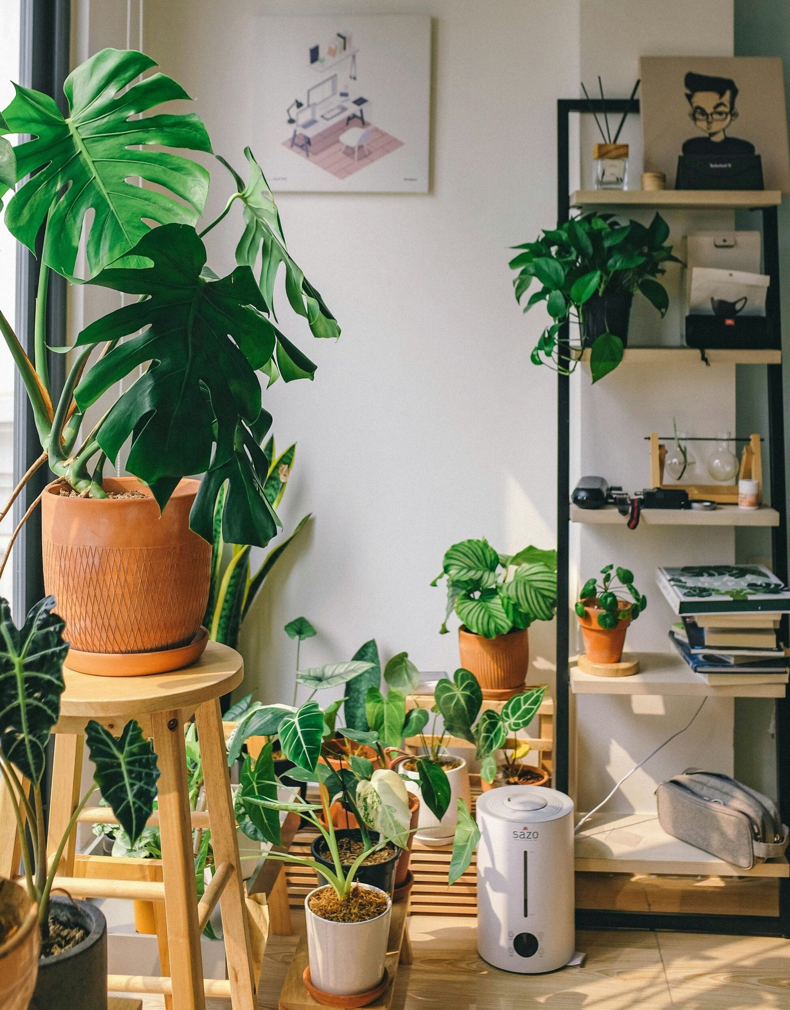 How to Create a Mini Indoor Winter Garden: A Step-by-Step Guide