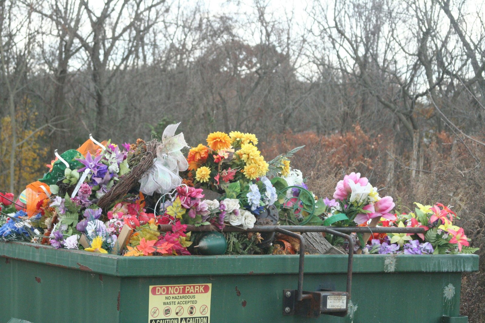 How to Grow Plants in Recycled Containers and Upcycled Pots