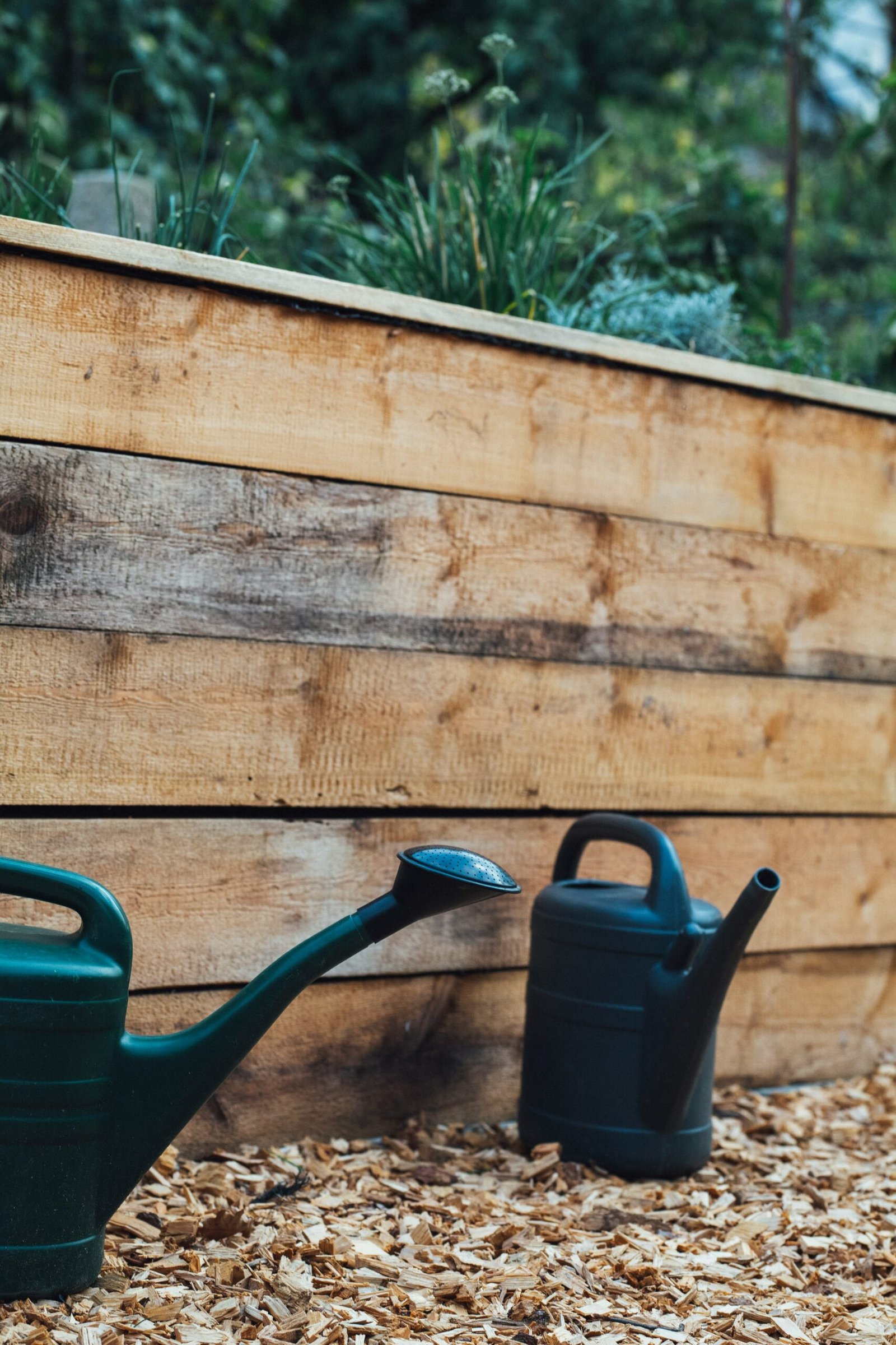 How to Build a Raised Bed Garden for Better Plant Growth