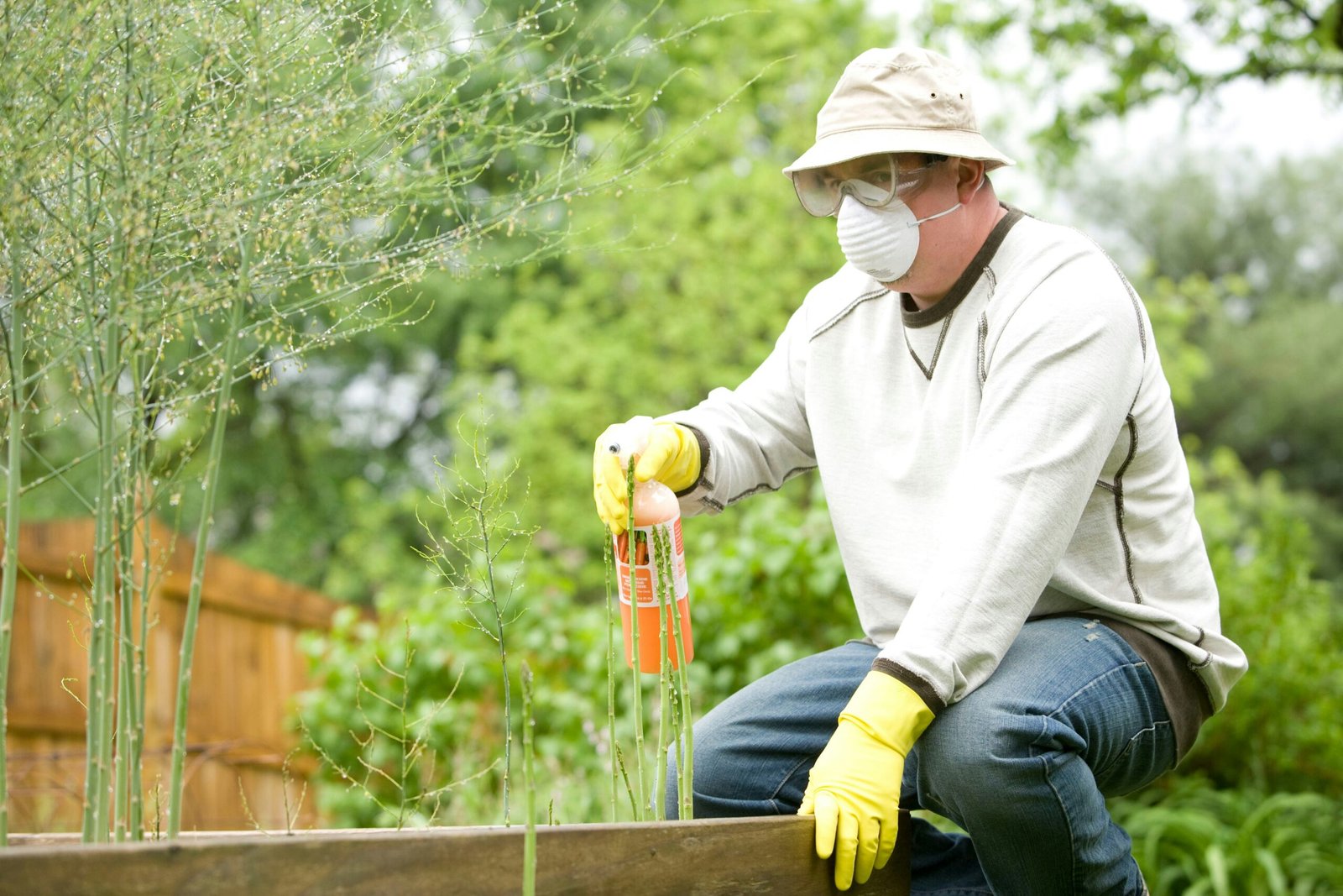 The Best Natural Remedies for Pest Control in Gardening