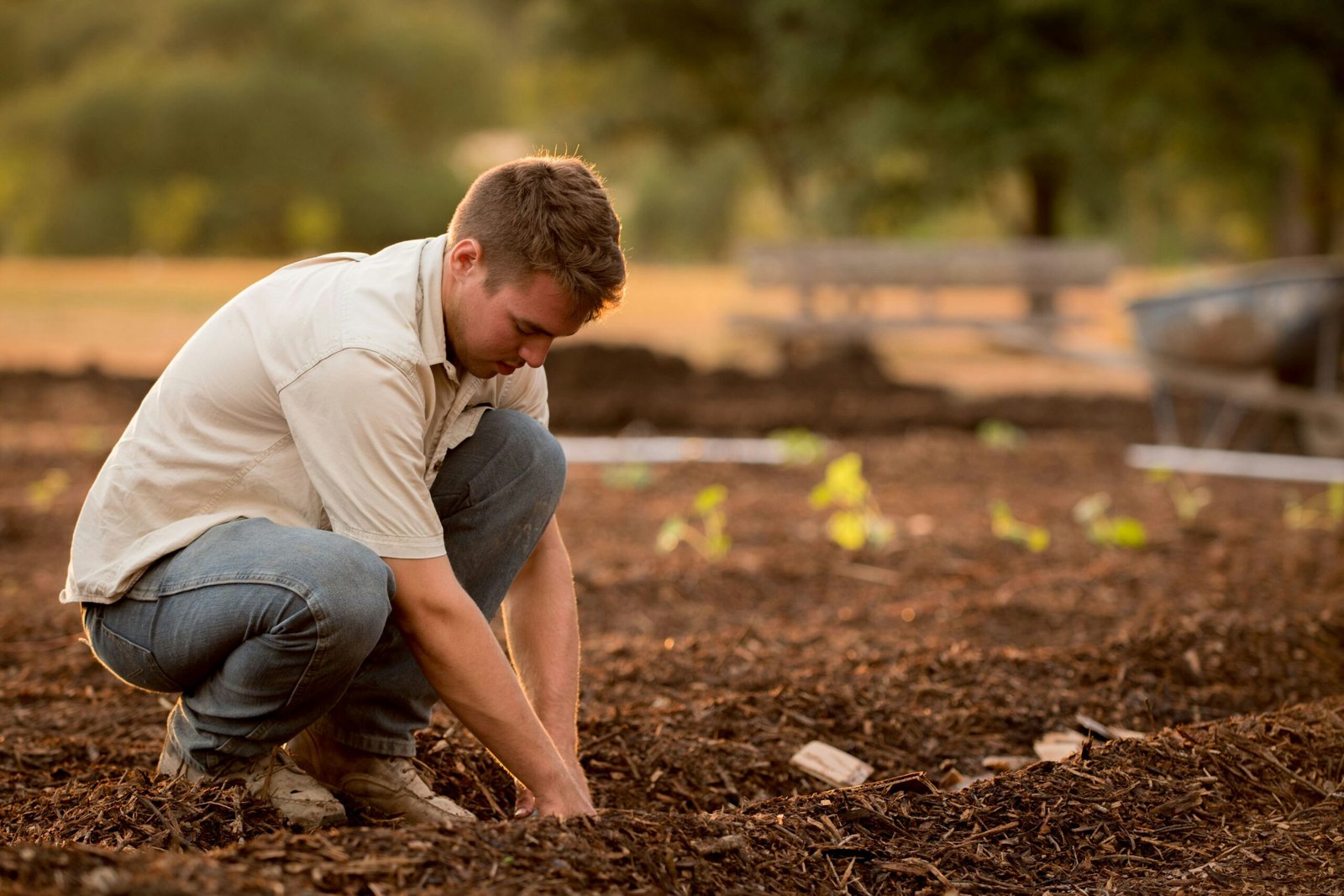 How to Maintain Lush Green Foliage in Your Garden