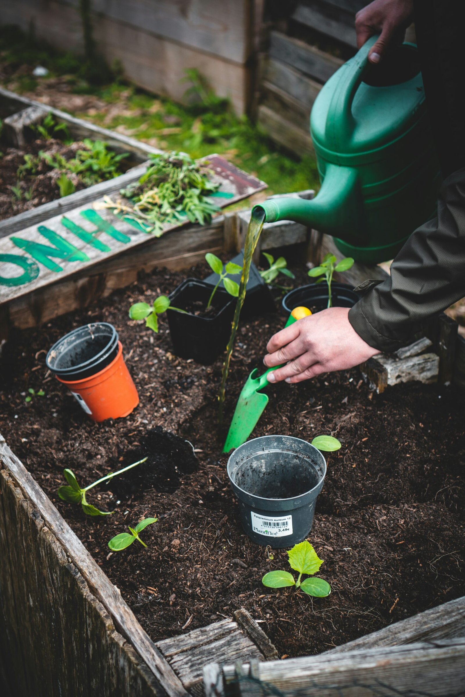 Effective Strategies to Reduce Plastic Waste in Gardening