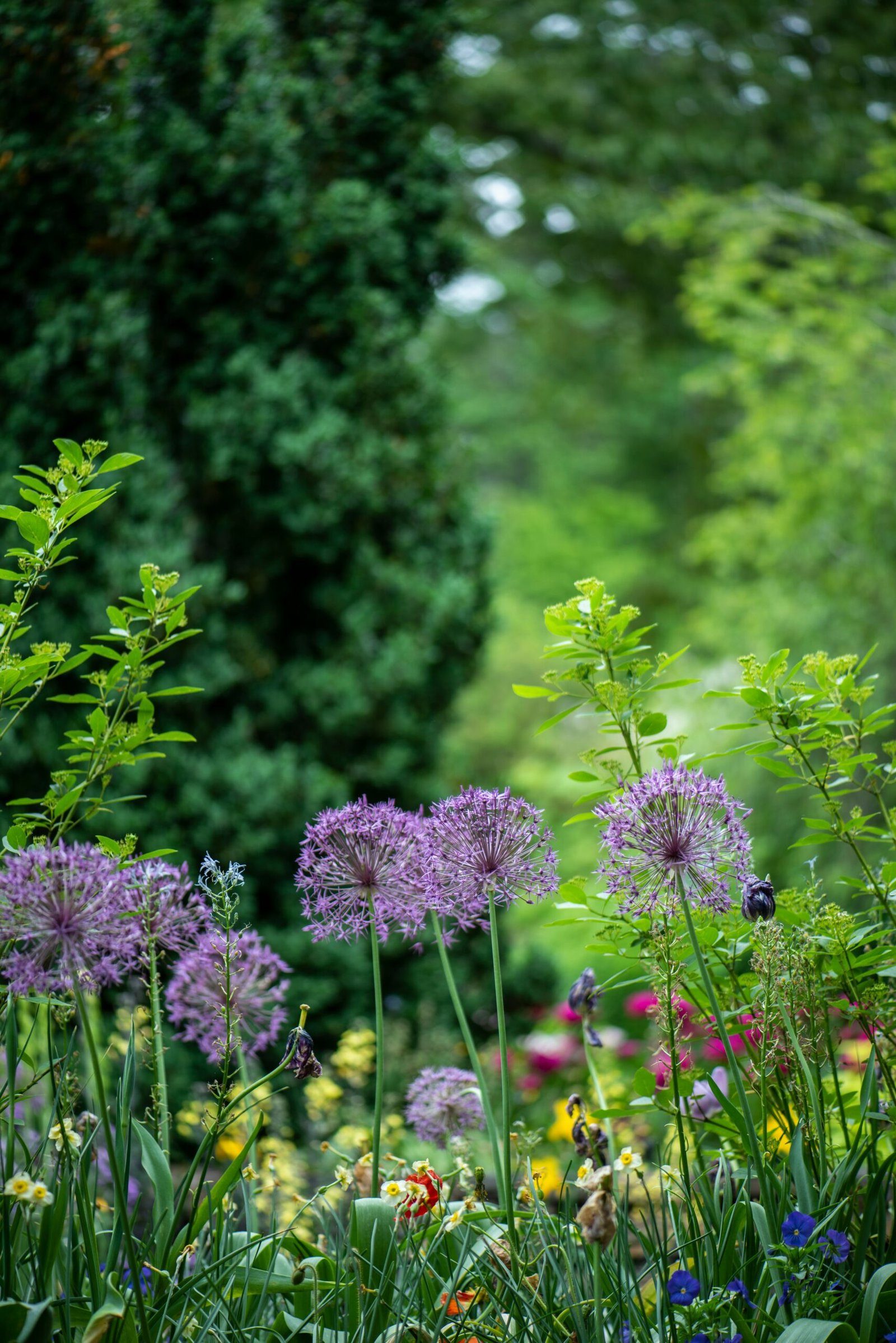 How to Start a Zero-Waste Garden: A Comprehensive Guide