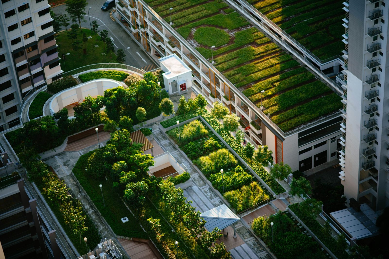 The Importance of Green Roofs and Living Walls in Urban Environments